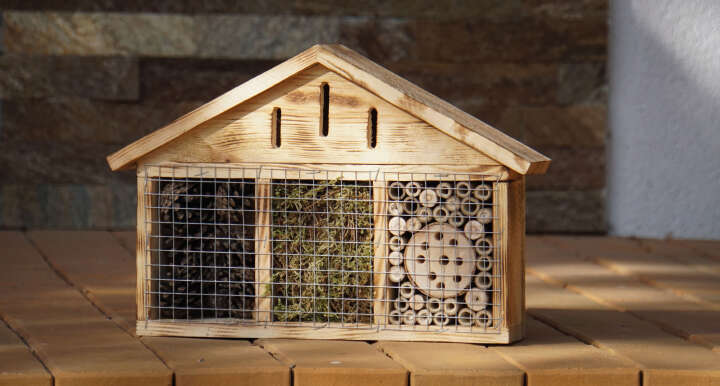 Insektenhotel aus geflämmtem Holz